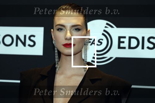 Leusden 6 maart 2023
Uitreiking Edisons in het AFAS theater .
Maan en haar vriend Goldband-zanger Karel Gerlach op de edisons. Goldband is de grote winnaar met m,eerdere edisons