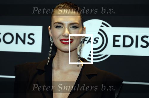 Leusden 6 maart 2023
Uitreiking Edisons in het AFAS theater .
Maan en haar vriend Goldband-zanger Karel Gerlach op de edisons. Goldband is de grote winnaar met m,eerdere edisons