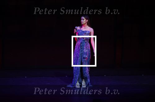 Leusden 6 maart 2023
Uitreiking Edisons in het AFAS theater .
Zoe Tauran