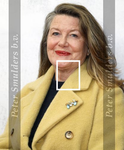 Amsterdam 21 januari 2024
Premiere Jesus Christ Superstar in het DeLaMar theater. Betty Schuurman