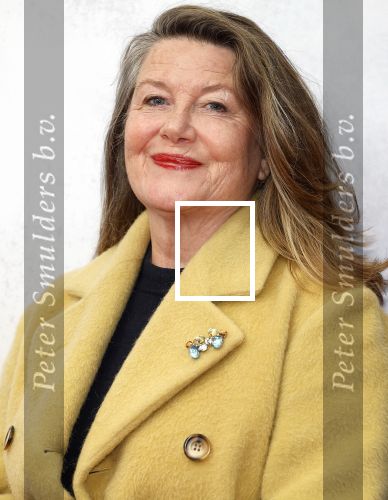 Amsterdam 21 januari 2024
Premiere Jesus Christ Superstar in het DeLaMar theater. Betty Schuurman