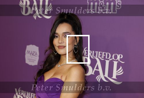 Den Bosch 27 januari 2024
Premiere verliefd op ibiza in de Brabant Hallen. waylon met zijn zwangere vriendin Bibi Breijman