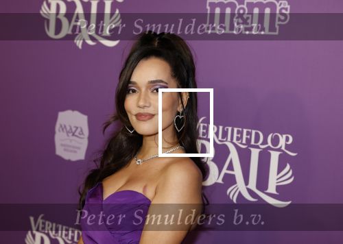 Den Bosch 27 januari 2024
Premiere verliefd op ibiza in de Brabant Hallen. waylon met zijn zwangere vriendin Bibi Breijman
