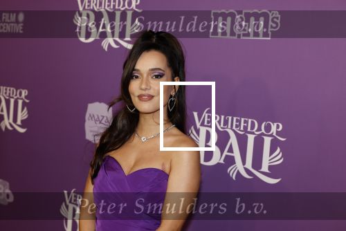 Den Bosch 27 januari 2024
Premiere verliefd op ibiza in de Brabant Hallen. waylon met zijn zwangere vriendin Bibi Breijman