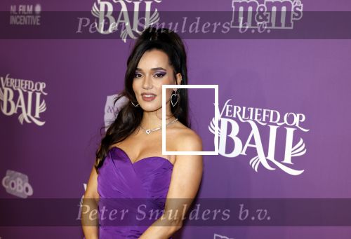 Den Bosch 27 januari 2024
Premiere verliefd op ibiza in de Brabant Hallen. waylon met zijn zwangere vriendin Bibi Breijman