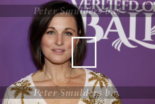 Den Bosch 27 januari 2024
Premiere verliefd op ibiza in de Brabant Hallen. Brigitte Heitzer