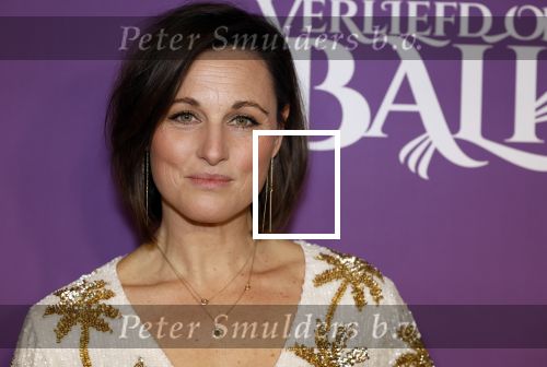 Den Bosch 27 januari 2024
Premiere verliefd op ibiza in de Brabant Hallen. Brigitte Heitzer