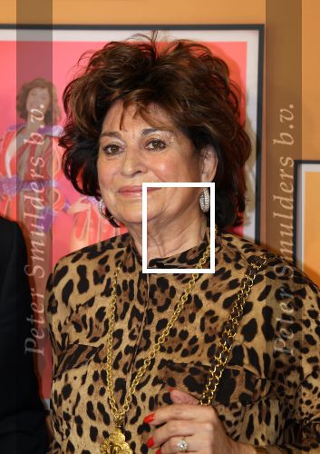 Amsterdam, 18 Februari 2024
Premiere Documentaire Patty Brard voor Videoland
Christine Kroonenberg