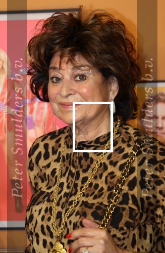 Amsterdam, 18 Februari 2024
Premiere Documentaire Patty Brard voor Videoland
Christine Kroonenberg