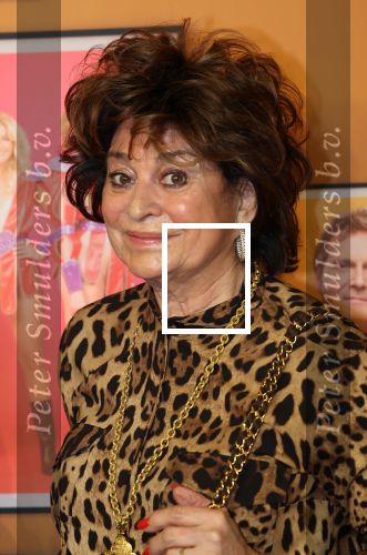 Amsterdam, 18 Februari 2024
Premiere Documentaire Patty Brard voor Videoland
Christine Kroonenberg