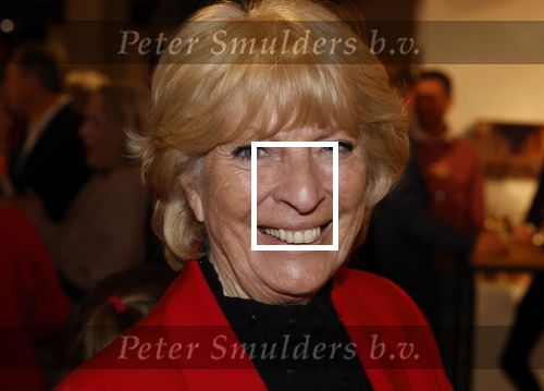 Laren 13 februari 2024
Presentatie nieuwe magazine van Niclole des Bouvrie in het Rosa Spier huis. Ciska Peters