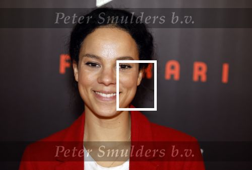 Amsterdam 17 januari 2024
Premiere Ferrari in Pathe arena . Cloe Leenheer