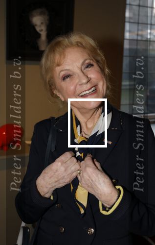 Breukelen 12 februari 2024
Ria Valk viert haar 65 jarig artiesten jubileum en krijgt een koninklijk onderscheiding van de burgemeester van de Ronde Venen. Conny Vink kwam met haar man