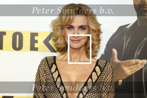 Amsterdam 29 januari 2024
Premiere Scotoe in Tuschinski met oa in de cast Sinan Eroglu Mohammed Chara Rose Bertram Said Boumazoughe Melisa Asli Pamuk Ferdi Stofmeel Daphne Deckers Emma Deckers en Oscar Aerts.