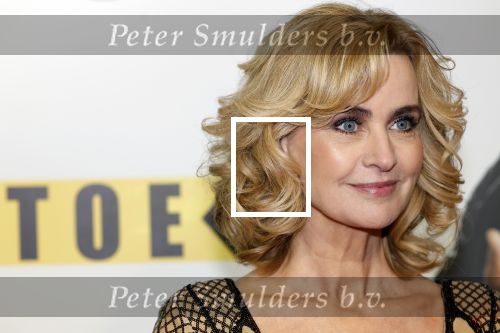 Amsterdam 29 januari 2024
Premiere Scotoe in Tuschinski met oa in de cast Sinan Eroglu Mohammed Chara Rose Bertram Said Boumazoughe Melisa Asli Pamuk Ferdi Stofmeel Daphne Deckers Emma Deckers en Oscar Aerts.