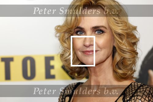 Amsterdam 29 januari 2024
Premiere Scotoe in Tuschinski met oa in de cast Sinan Eroglu Mohammed Chara Rose Bertram Said Boumazoughe Melisa Asli Pamuk Ferdi Stofmeel Daphne Deckers Emma Deckers en Oscar Aerts.