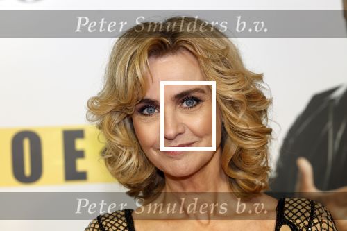 Amsterdam 29 januari 2024
Premiere Scotoe in Tuschinski met oa in de cast Sinan Eroglu Mohammed Chara Rose Bertram Said Boumazoughe Melisa Asli Pamuk Ferdi Stofmeel Daphne Deckers Emma Deckers en Oscar Aerts.
