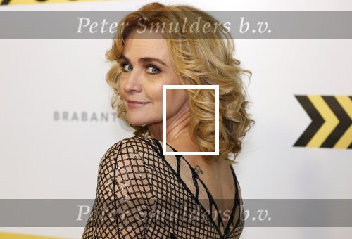 Amsterdam 29 januari 2024
Premiere Scotoe in Tuschinski met oa in de cast Sinan Eroglu Mohammed Chara Rose Bertram Said Boumazoughe Melisa Asli Pamuk Ferdi Stofmeel Daphne Deckers Emma Deckers en Oscar Aerts.