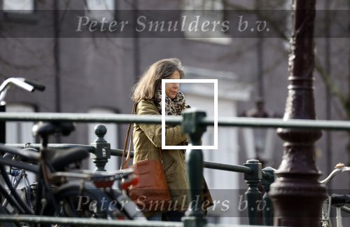 Amsterdam 7 februari 2024
Debbie Petter op de grachten in Amsterdam.