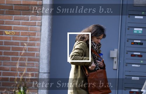 Amsterdam 7 februari 2024
Debbie Petter op de grachten in Amsterdam.