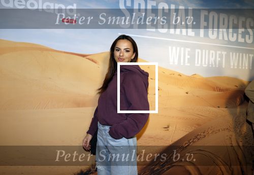 Amsterdam 24 januari 2024
Presentatie special firces Vips in de ADAM Toren . Demi de Boer