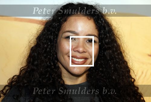Amsterdam 24 januari 2024
Presentatie special firces Vips in de ADAM Toren . Denise Kielholtz
