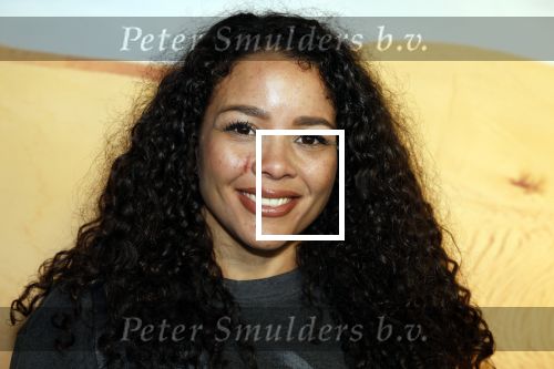 Amsterdam 24 januari 2024
Presentatie special firces Vips in de ADAM Toren . Denise Kielholtz