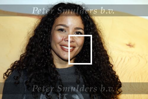 Amsterdam 24 januari 2024
Presentatie special firces Vips in de ADAM Toren . Denise Kielholtz