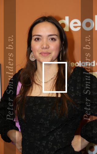 Amsterdam, 18 Februari 2024
Premiere Documentaire Patty Brard voor Videoland
Dewi Welschen