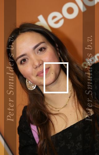 Amsterdam, 18 Februari 2024
Premiere Documentaire Patty Brard voor Videoland
Dewi Welschen