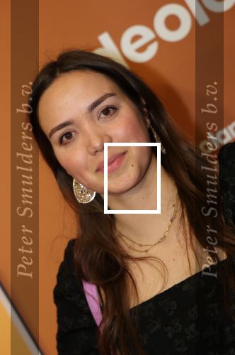 Amsterdam, 18 Februari 2024
Premiere Documentaire Patty Brard voor Videoland
Dewi Welschen
