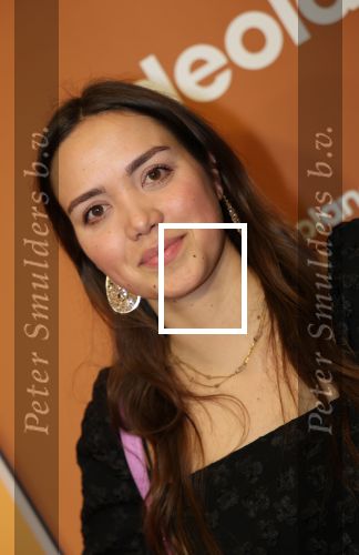 Amsterdam, 18 Februari 2024
Premiere Documentaire Patty Brard voor Videoland
Dewi Welschen