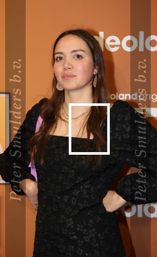 Amsterdam, 18 Februari 2024
Premiere Documentaire Patty Brard voor Videoland
Dewi Welschen