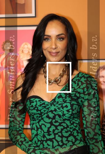 Amsterdam, 18 Februari 2024
Premiere Documentaire Patty Brard voor Videoland
Dyantha Brooks