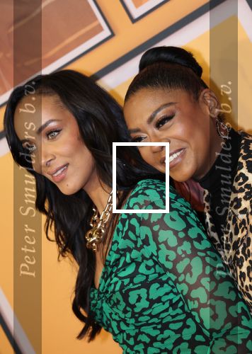 Amsterdam, 18 Februari 2024
Premiere Documentaire Patty Brard voor Videoland
Dyantha Brooks en Natacha Harlequin