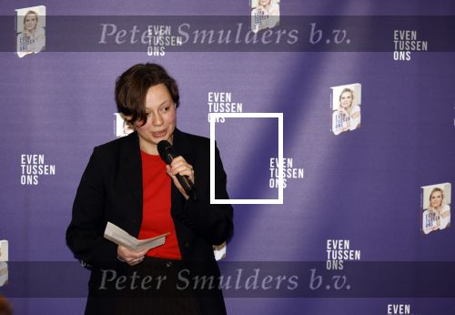 Amsterdam 8 februari 2024
Presentatie boek Eveline Stallaert  in het pillows hotel.