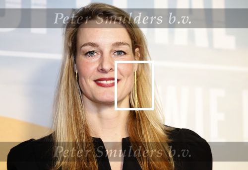 Amsterdam 24 januari 2024
Presentatie special firces Vips in de ADAM Toren . Edith Bosch