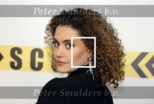 Amsterdam 29 januari 2024
Premiere Scotoe in Tuschinski met oa in de cast Sinan Eroglu Mohammed Chara Rose Bertram Said Boumazoughe Melisa Asli Pamuk Ferdi Stofmeel Daphne Deckers Emma Deckers en Oscar Aerts.