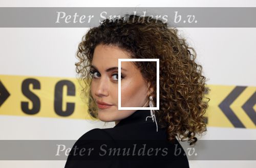 Amsterdam 29 januari 2024
Premiere Scotoe in Tuschinski met oa in de cast Sinan Eroglu Mohammed Chara Rose Bertram Said Boumazoughe Melisa Asli Pamuk Ferdi Stofmeel Daphne Deckers Emma Deckers en Oscar Aerts.