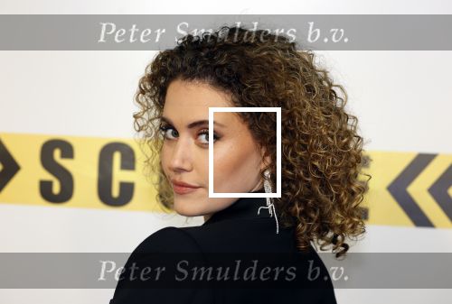 Amsterdam 29 januari 2024
Premiere Scotoe in Tuschinski met oa in de cast Sinan Eroglu Mohammed Chara Rose Bertram Said Boumazoughe Melisa Asli Pamuk Ferdi Stofmeel Daphne Deckers Emma Deckers en Oscar Aerts.