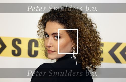 Amsterdam 29 januari 2024
Premiere Scotoe in Tuschinski met oa in de cast Sinan Eroglu Mohammed Chara Rose Bertram Said Boumazoughe Melisa Asli Pamuk Ferdi Stofmeel Daphne Deckers Emma Deckers en Oscar Aerts.