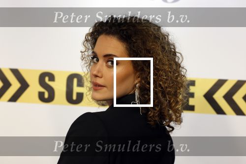 Amsterdam 29 januari 2024
Premiere Scotoe in Tuschinski met oa in de cast Sinan Eroglu Mohammed Chara Rose Bertram Said Boumazoughe Melisa Asli Pamuk Ferdi Stofmeel Daphne Deckers Emma Deckers en Oscar Aerts.