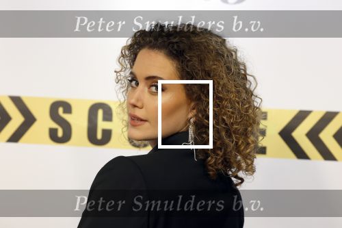 Amsterdam 29 januari 2024
Premiere Scotoe in Tuschinski met oa in de cast Sinan Eroglu Mohammed Chara Rose Bertram Said Boumazoughe Melisa Asli Pamuk Ferdi Stofmeel Daphne Deckers Emma Deckers en Oscar Aerts.