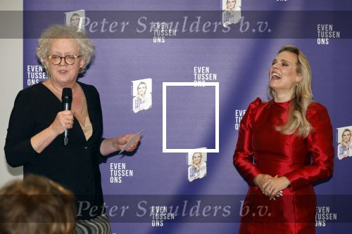 Amsterdam 8 februari 2024
Presentatie boek Eveline Stallaert  in het pillows hotel.