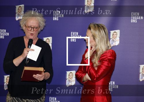 Amsterdam 8 februari 2024
Presentatie boek Eveline Stallaert  in het pillows hotel.