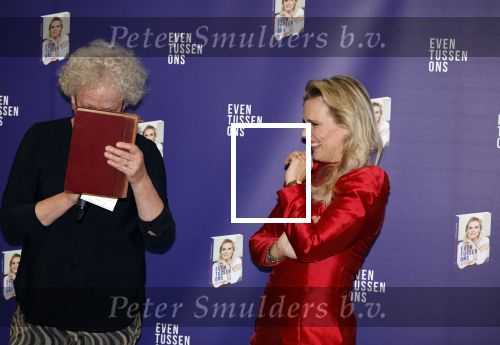 Amsterdam 8 februari 2024
Presentatie boek Eveline Stallaert  in het pillows hotel.