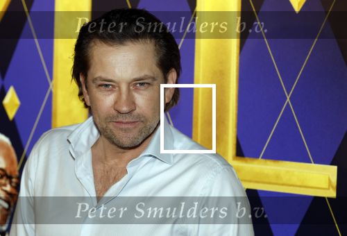Amsterdam 30 januari 2024
Premiere Argylle in Pathe Arena. Ferri Somogyi