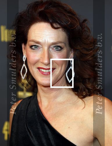 Hilversum 25 januari 2024
Uitreiking Radioring 2024 in de Vorstin . Ghislaine Plag