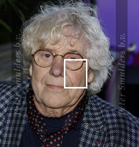 Breukelen 12 februari 2024
Ria Valk viert haar 65 jarig artiesten jubileum en krijgt een koninklijk onderscheiding van de burgemeester van de Ronde Venen. Hans Wennekes