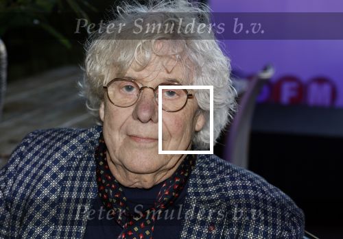 Breukelen 12 februari 2024
Ria Valk viert haar 65 jarig artiesten jubileum en krijgt een koninklijk onderscheiding van de burgemeester van de Ronde Venen. Hans Wennekes